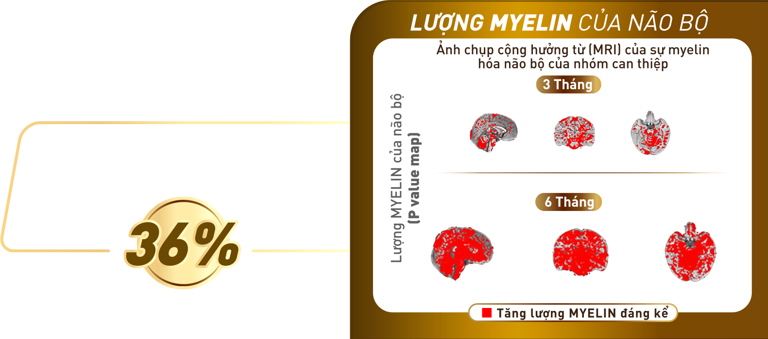 lượng myelin