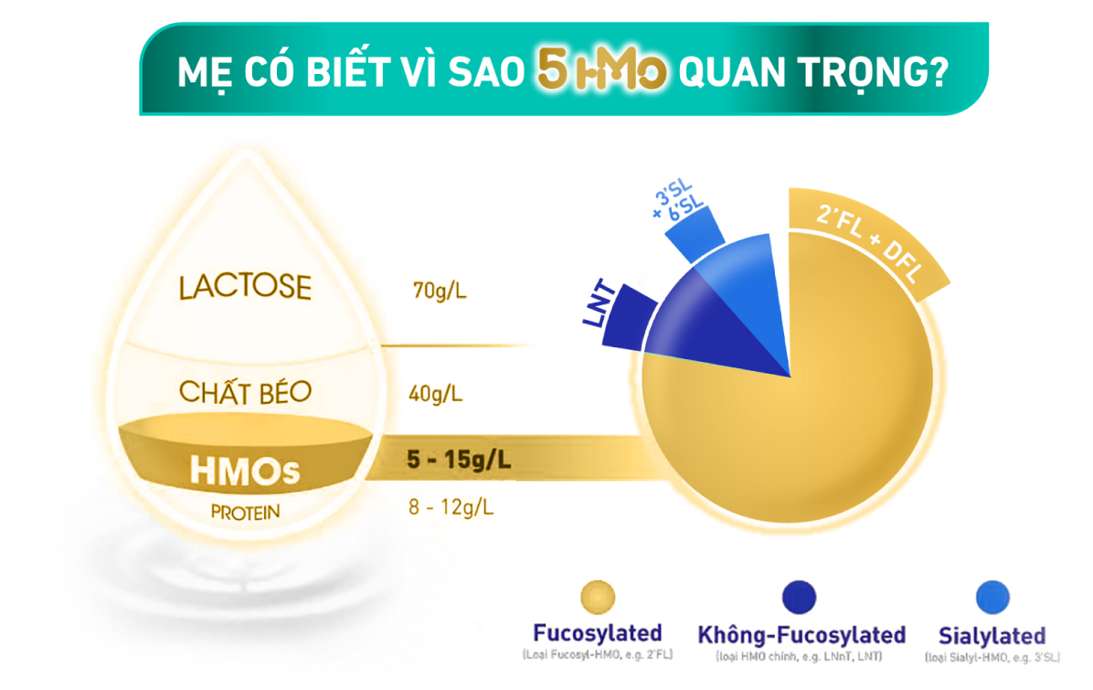6-dieu-quan-trong-5hmo