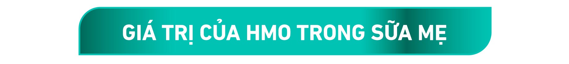 gia-tri-hmo-trong-sua-me