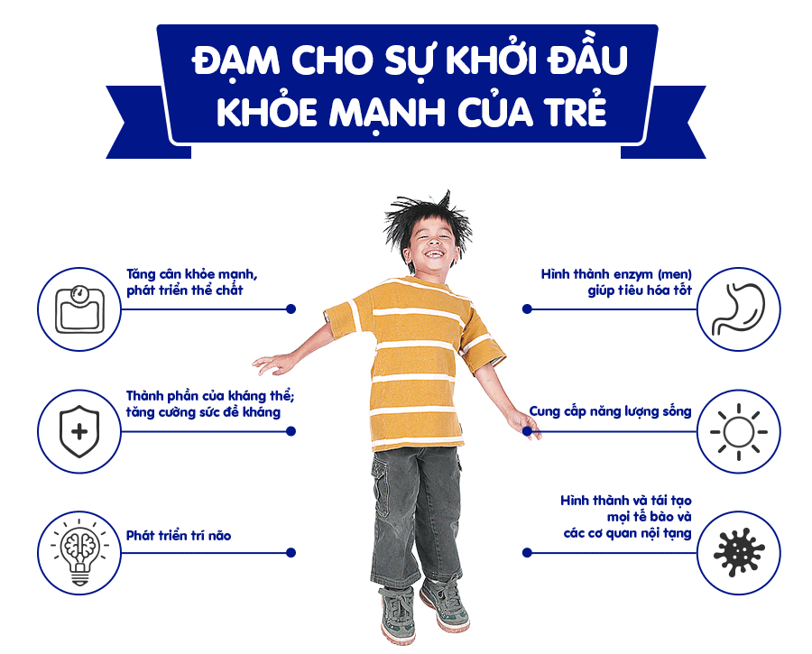 Đạm cho sự khởi đầu khỏe mạnh của trẻ