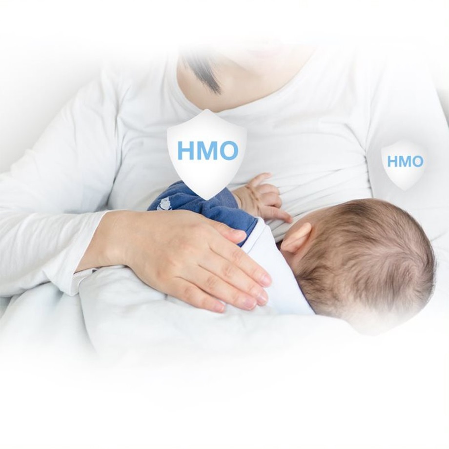 HMO trong sữa mẹ giúp tăng sức đề kháng và hoàn thiện hệ tiêu hóa cho trẻ