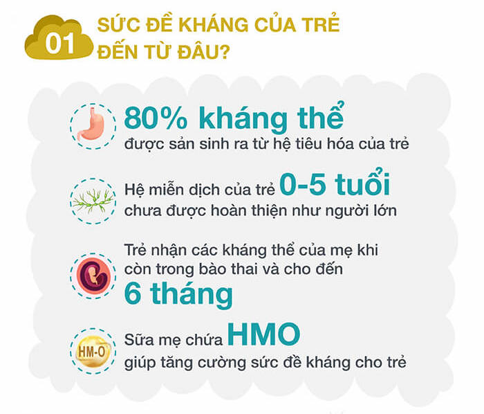 Sức đề kháng của trẻ đến từ đâu