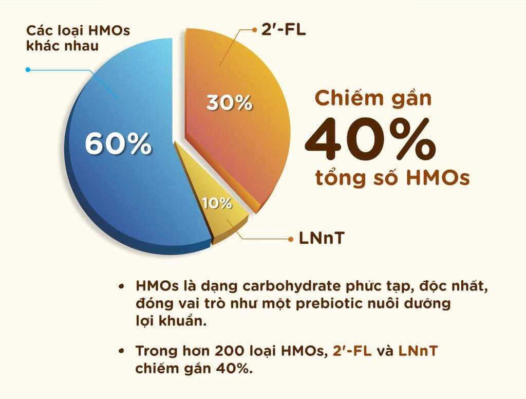 Bộ đôi HMOs quan trọng