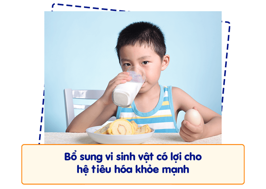 Tăng sức đề kháng cho bé qua bổ sung lợi khuẩn cho hệ tiêu hóa