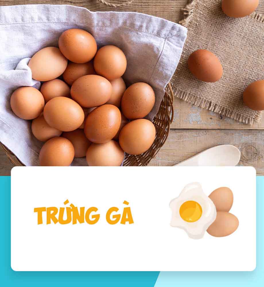 Trứng gà là thực phẩm dinh dưỡng giàu protein