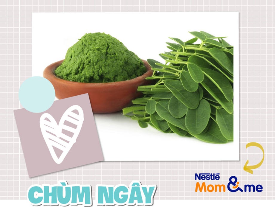 Chùm ngây chỉ nên cho trẻ ăn lá, quả và hạt hoặc thêm bột chùm ngây vào món salad cho trẻ