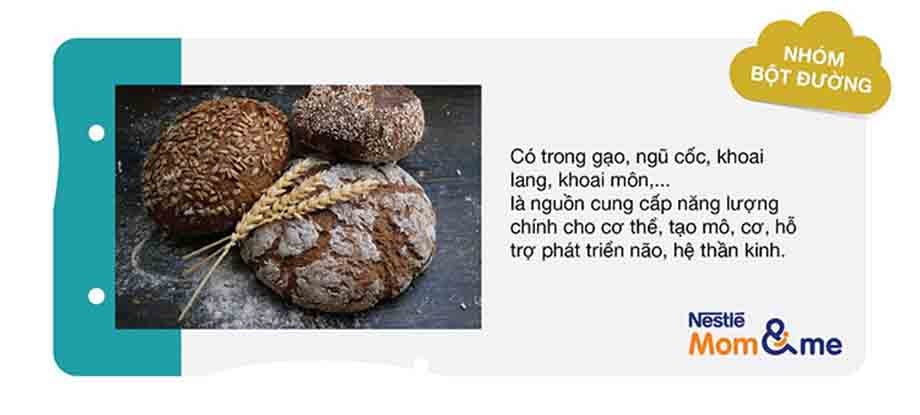 Nhóm bột đường trong bữa ăn dinh dưỡng