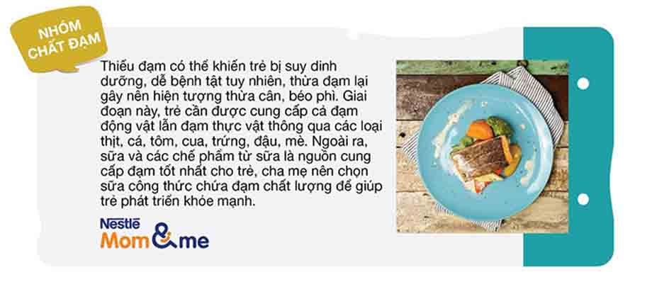 Nhóm chất đạm trong bữa ăn dinh dưỡng