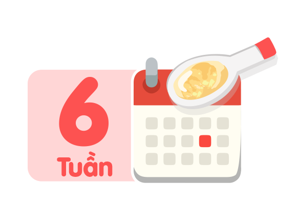 Nên sử dụng sản phẩm hết trong vòng 6 tuần sau khi mở nắp.