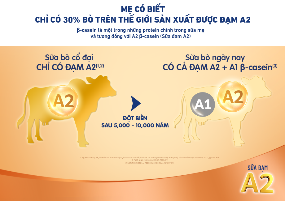 Bổ sung sữa đạm A2 