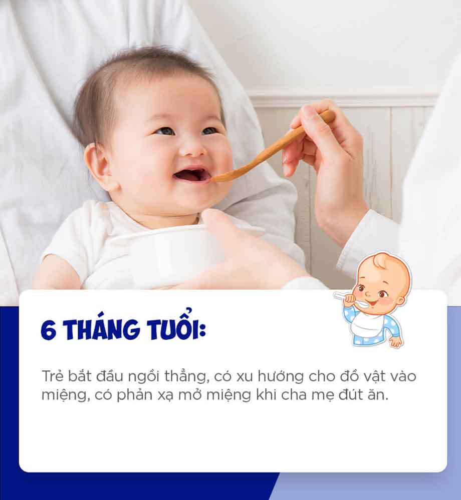 6 tháng tuổi: Trẻ bắt đầu ngồi thẳng, có xu hướng cho đồ vật vào miệng, và phản xạ mở miệng khi được đút ăn