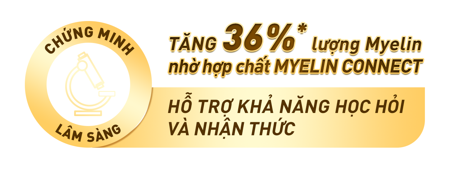 Hợp chất Myelin