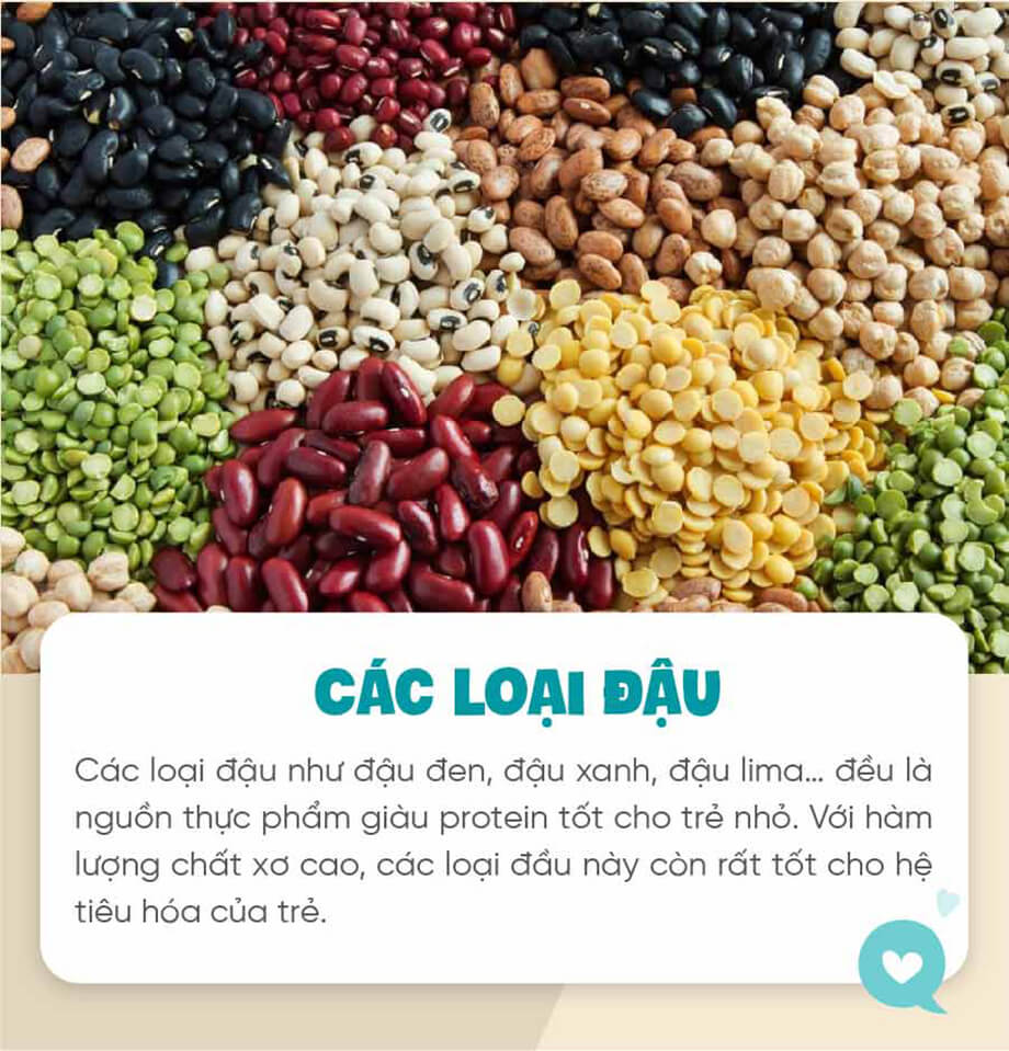 các loại đậu