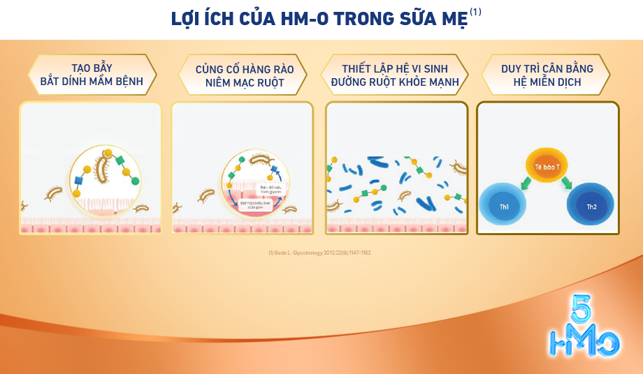 HM-O giúp hệ miễn dịch của trẻ thêm khỏe mạnh, bảo vệ trẻ khỏi tác nhân gây bệnh