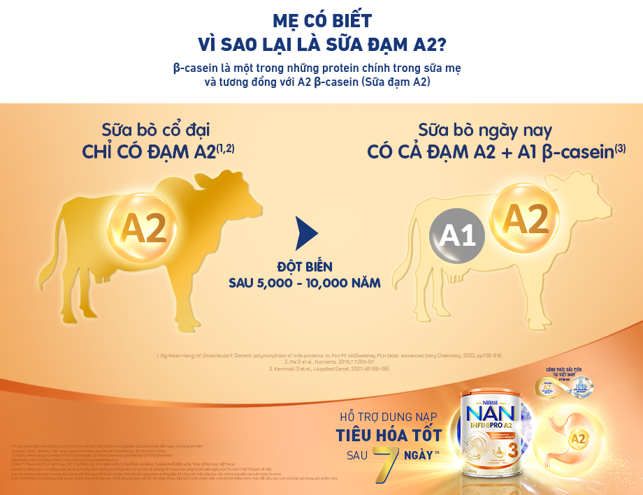 Trong sữa bò có 2 loại đạm phổ biến là đạm A1 và đạm A2 β-casein