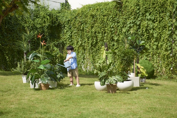Khả năng phát triển nhận thức của trẻ về môi trường xung quanh