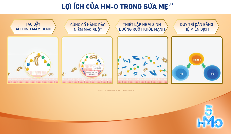 HM-O giúp hệ miễn dịch của trẻ thêm khỏe mạnh, bảo vệ trẻ khỏi tác nhân gây bệnh