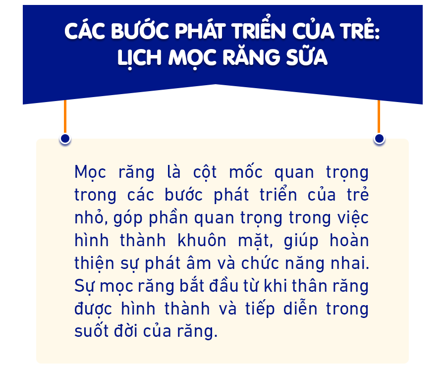 Thời điểm mọc răng sữa và các bước phát triển của trẻ