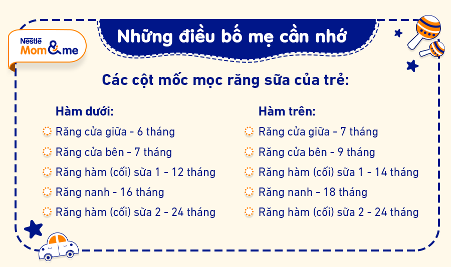 Nắm rõ lịch sử mọc răng sữa của bé