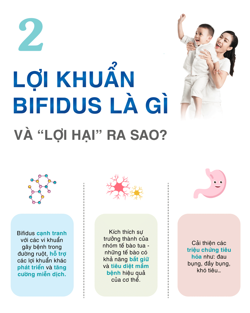 Hình minh họa lợi khuẩn tác động tích cực đến trẻ