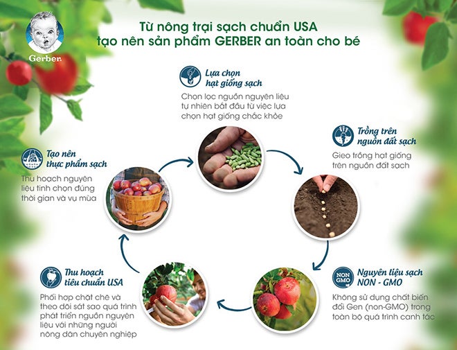 Hình minh họa cách lựa chọn sản phẩm hữu cơ cho bé