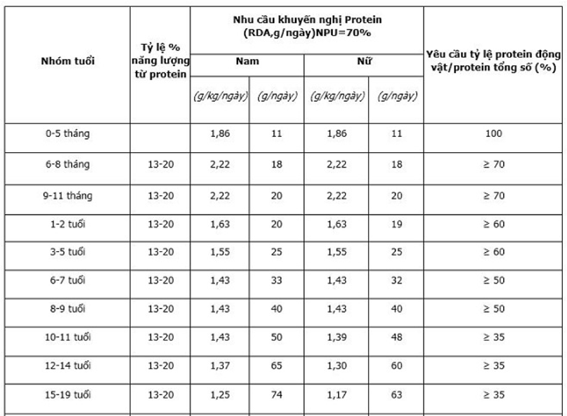 Thiếu đạm, hệ miễn dịch của trẻ sẽ suy yếu, trẻ thiếu sức đề kháng và thường hay ốm vặt.