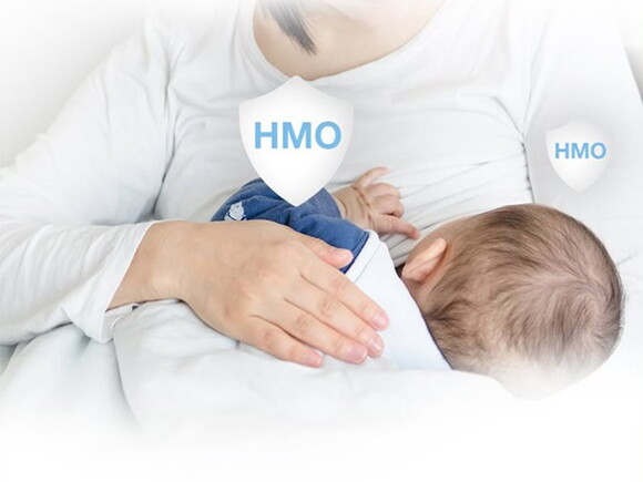 HMO-hạt mầm vàng cho hệ miễn dịch của trẻ