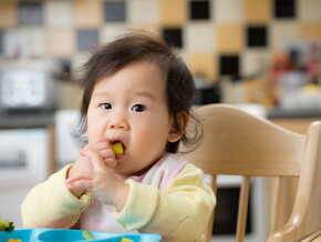 Bổ sung lợi khuẩn cho hệ tiêu hóa của trẻ