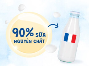 Ptit_4_categories-1_1011