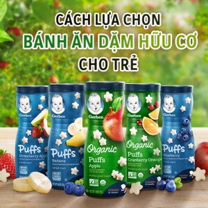 Cách lựa chọn bánh ăn dặm hữu cơ cho trẻ Cách lựa chọn bánh ăn dặm hữu cơ cho trẻ