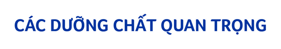 tagline tagline