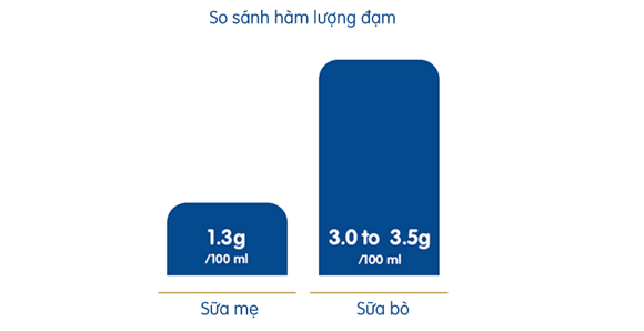 Hàm lượng đạm Hàm lượng đạm